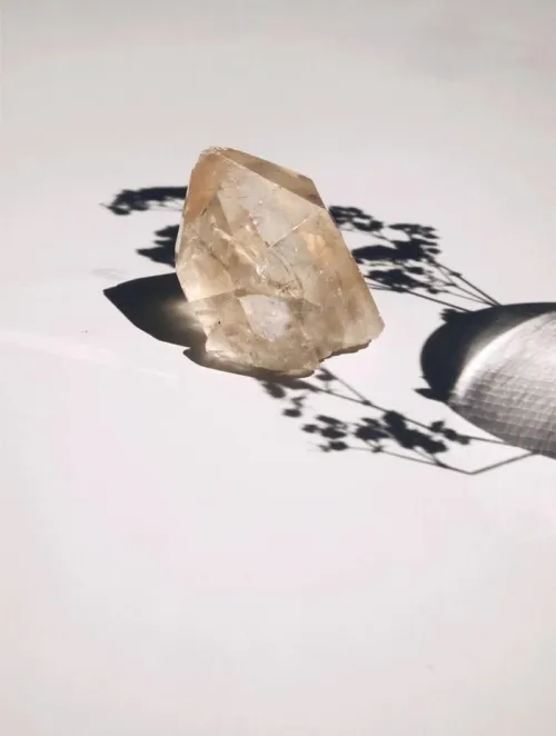 Quartz collection displayed in humidity-controlled cabinet