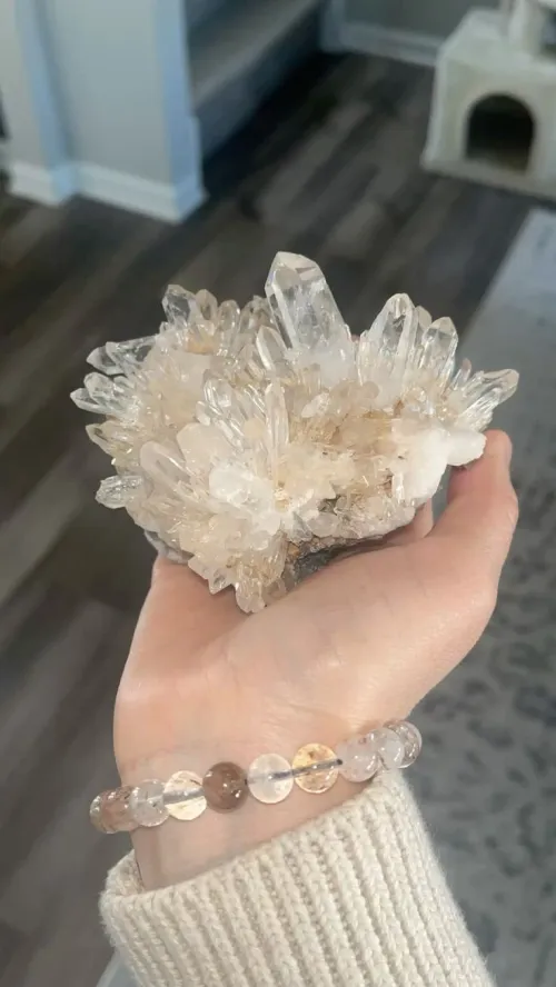 Quartz crystals being cleansed in sunlight beside potted plants